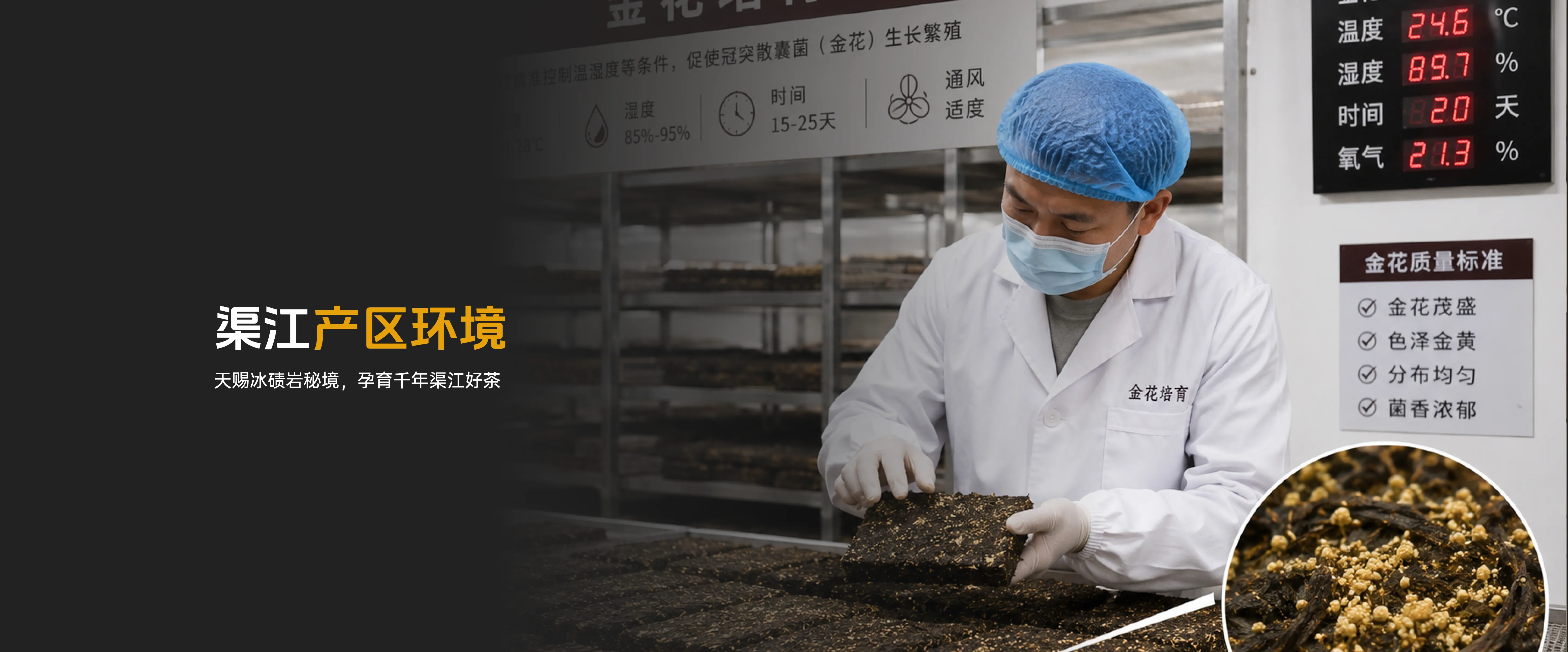 渠江产区环境