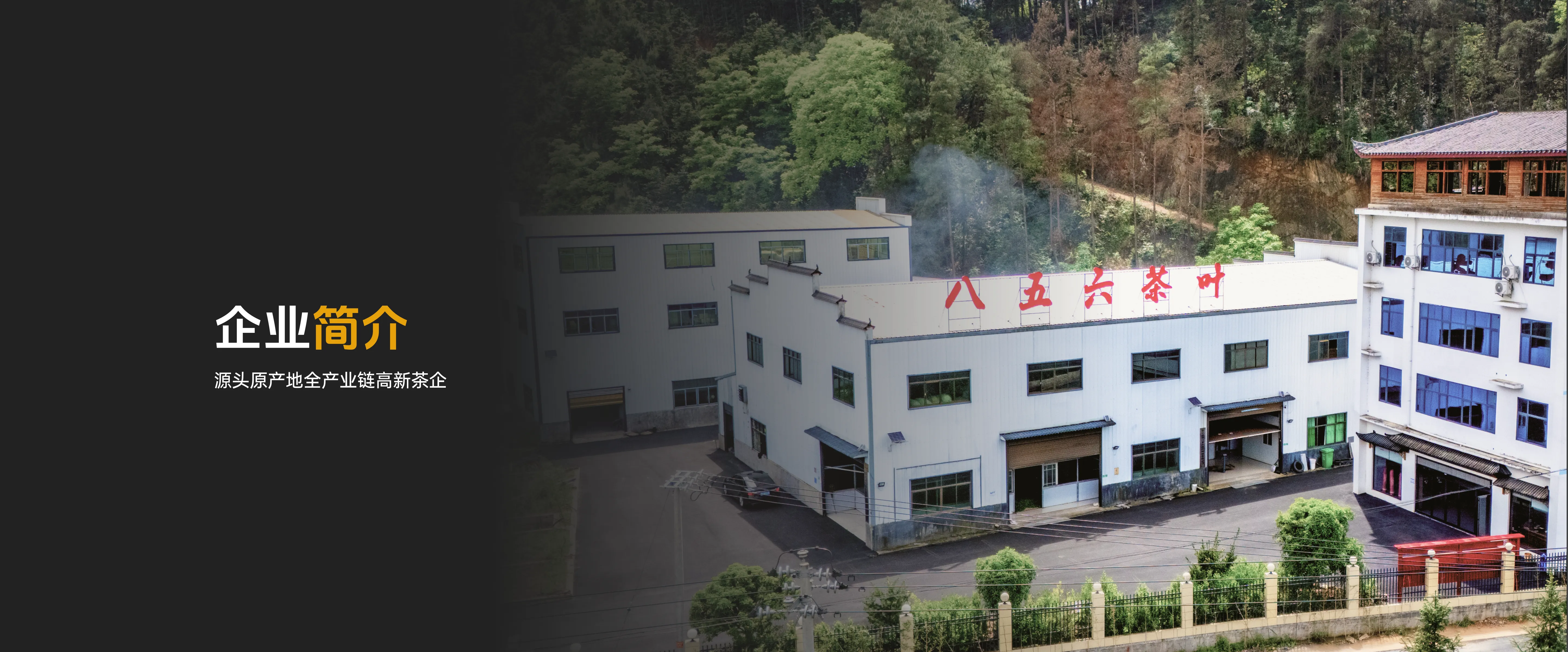 企业简介