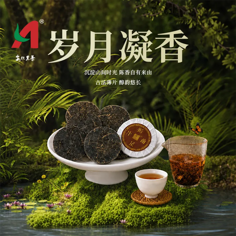 黑茶礼盒避坑指南：正宗渠江壹号安化黑茶这样挑