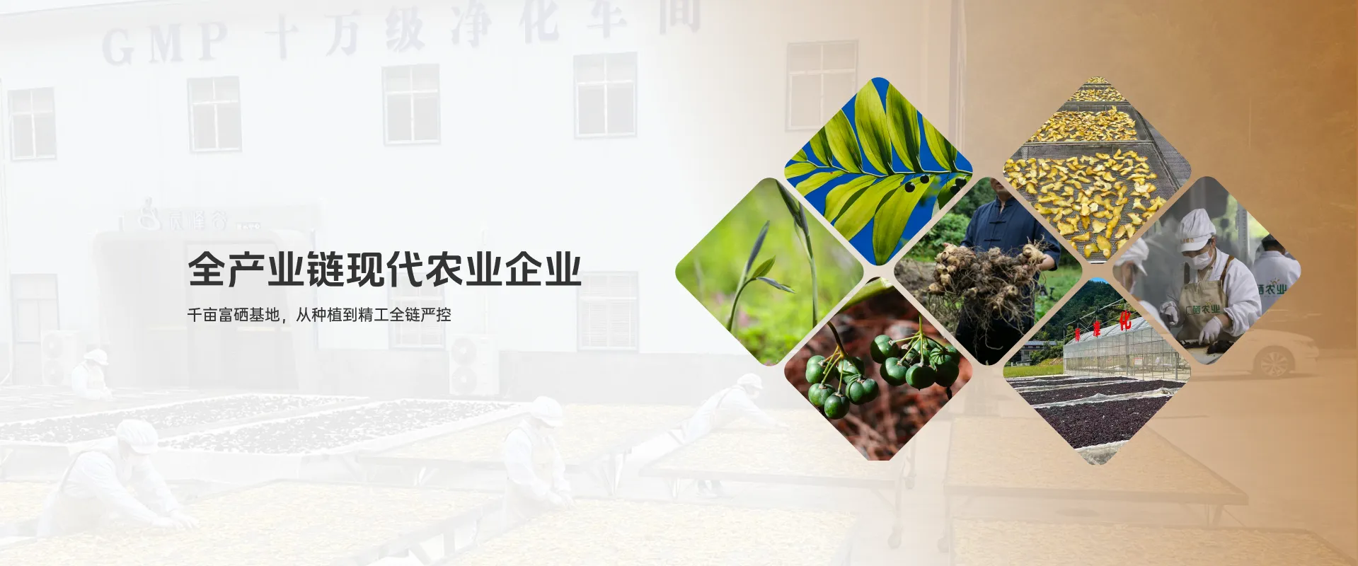 首页