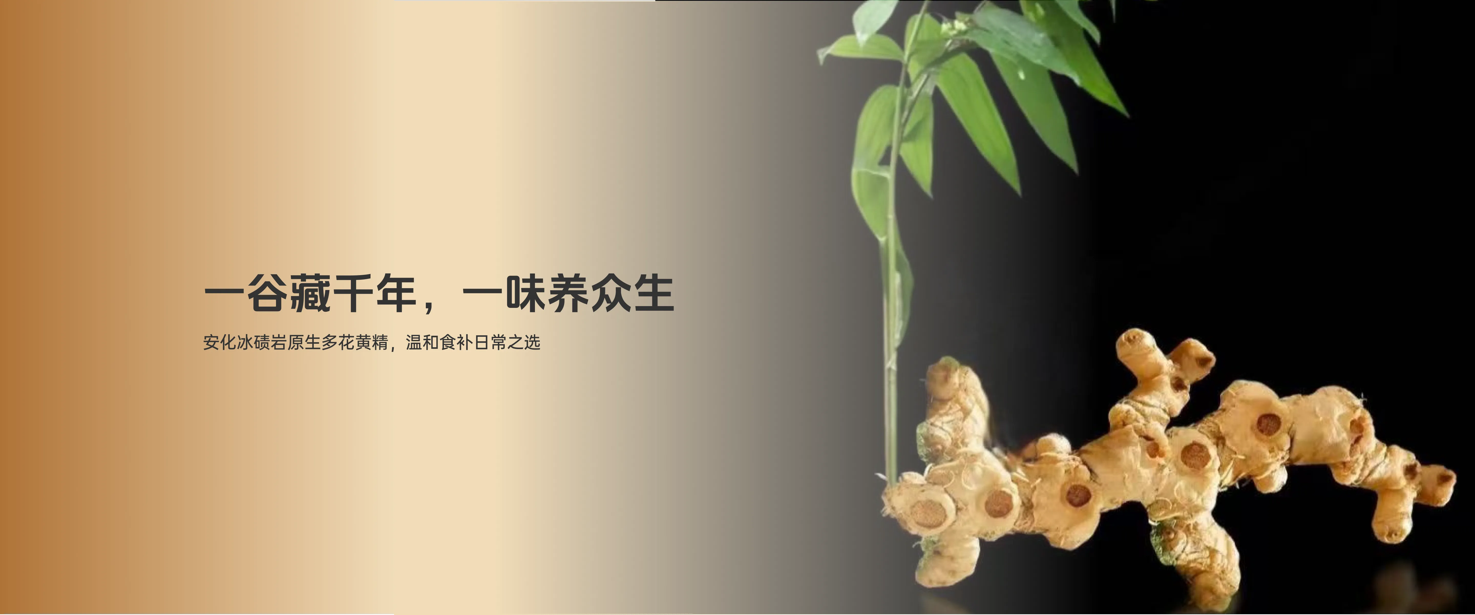 品牌故事