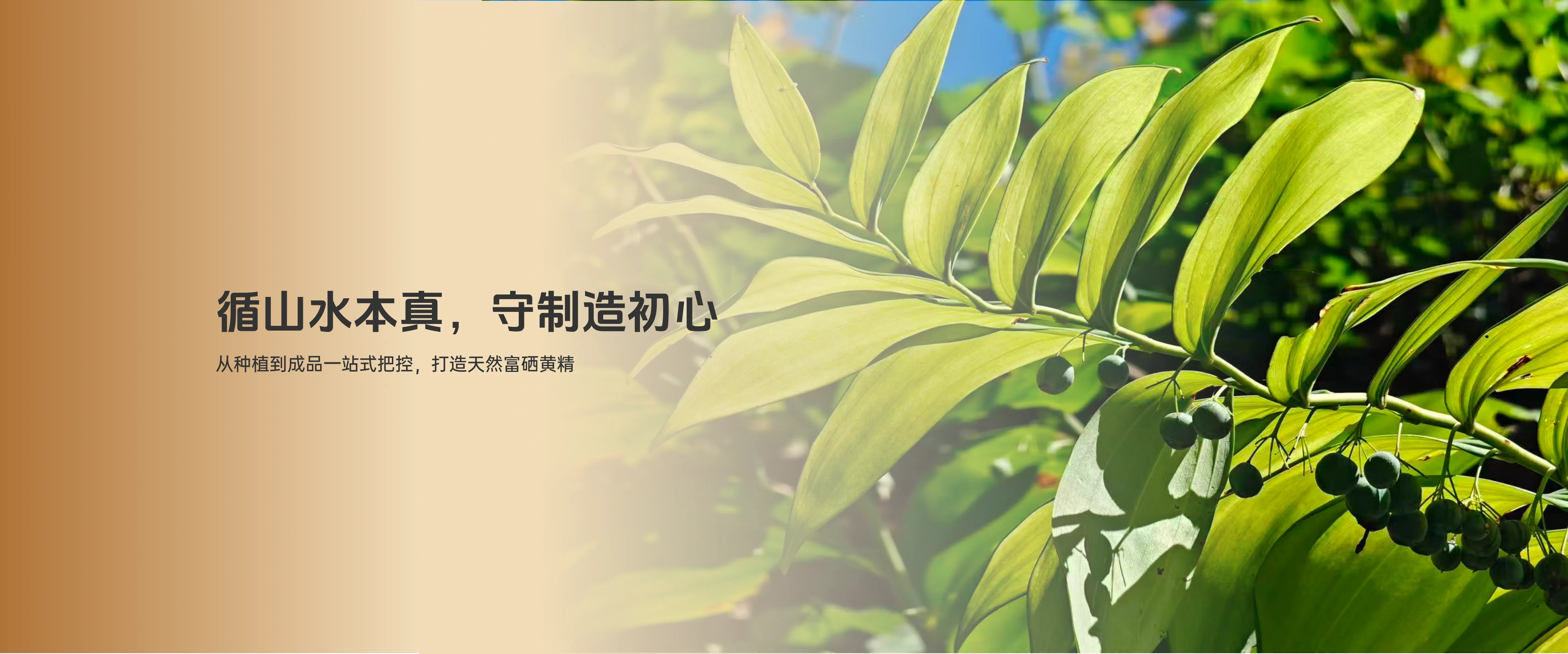 实力优势