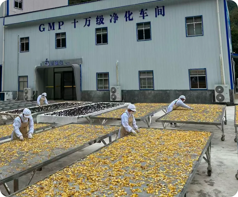 核心产区认证