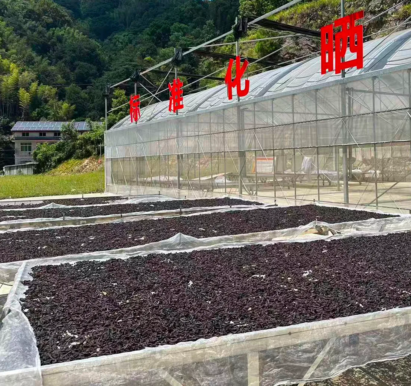 古法炮制