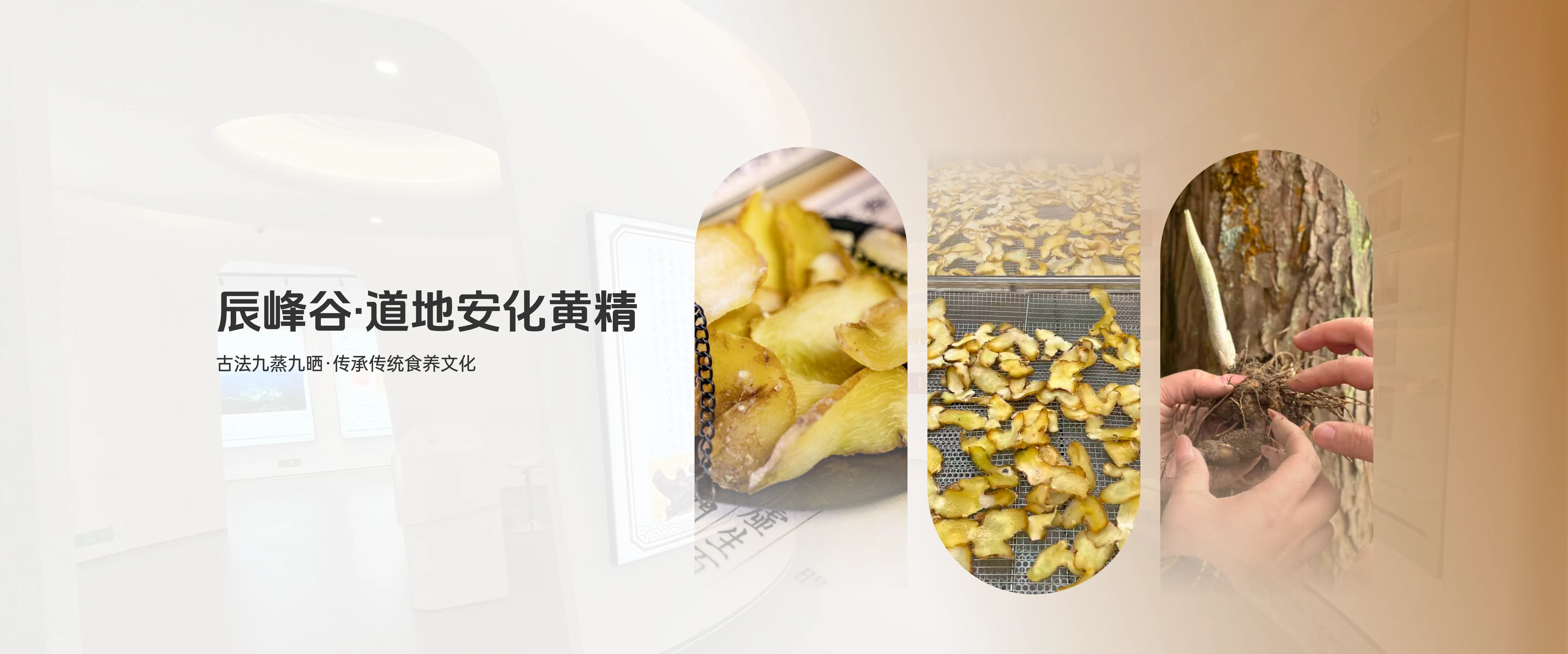 首页