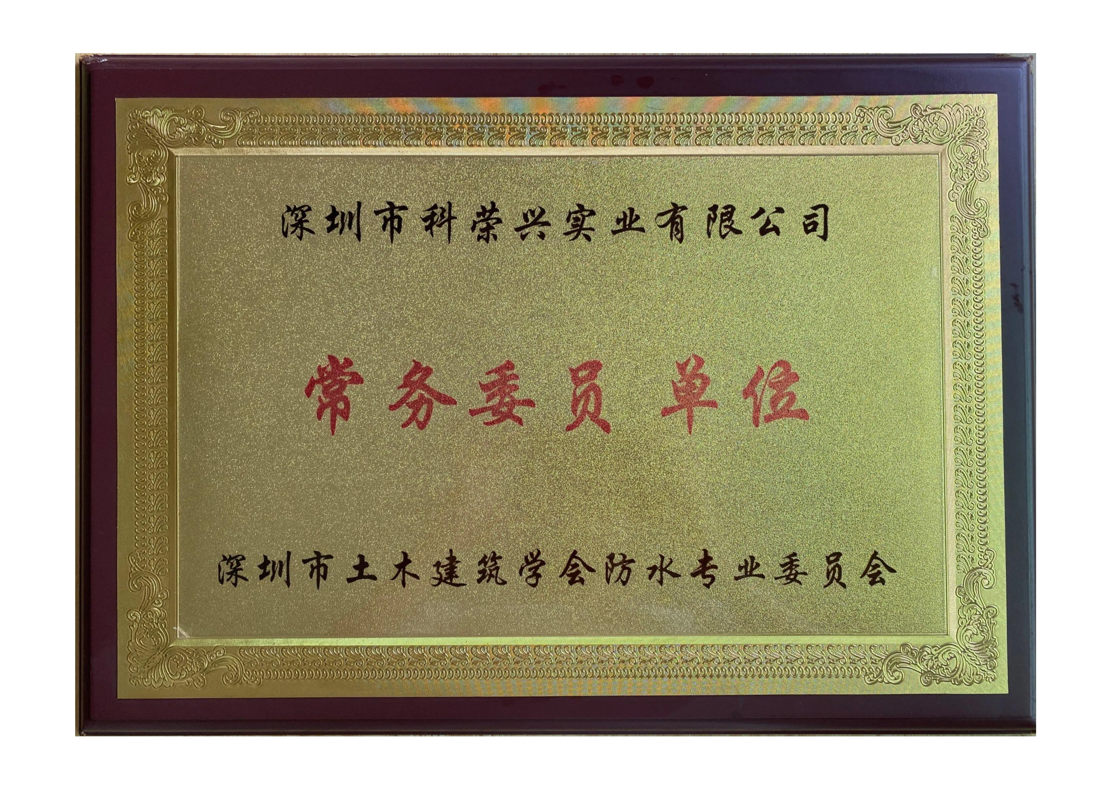 深圳市土木建筑学会防水专业委员会
