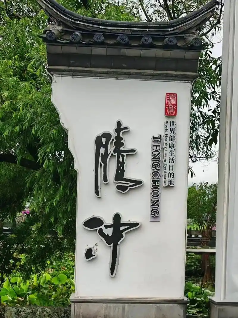 腾冲上榜全省林下经济重点县，林下经济利用林地206万亩
