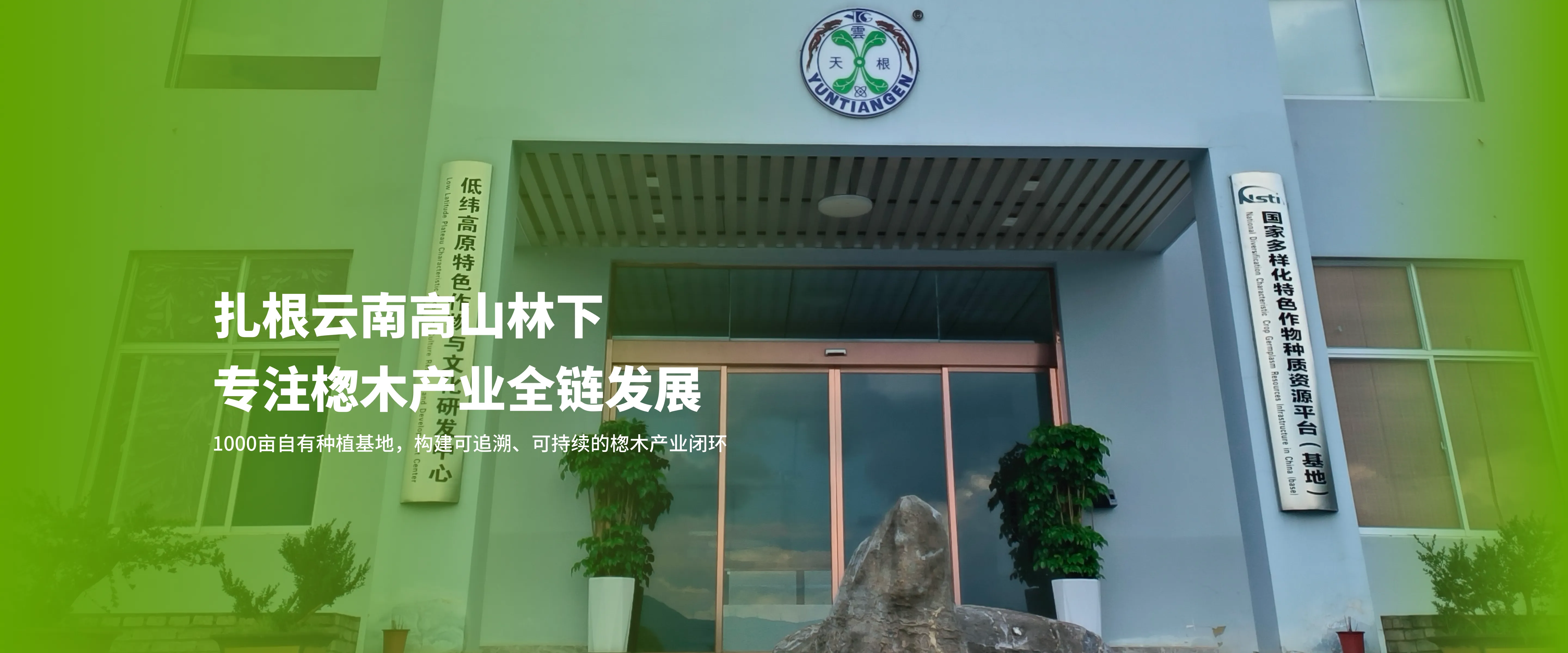 首页