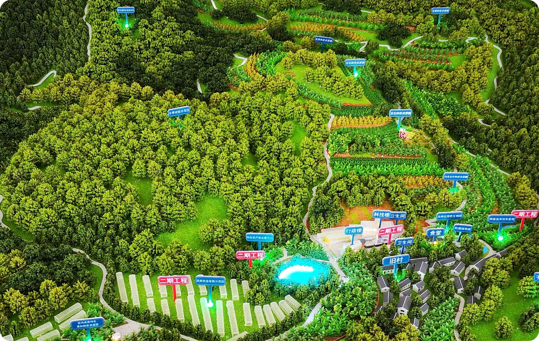 展示图