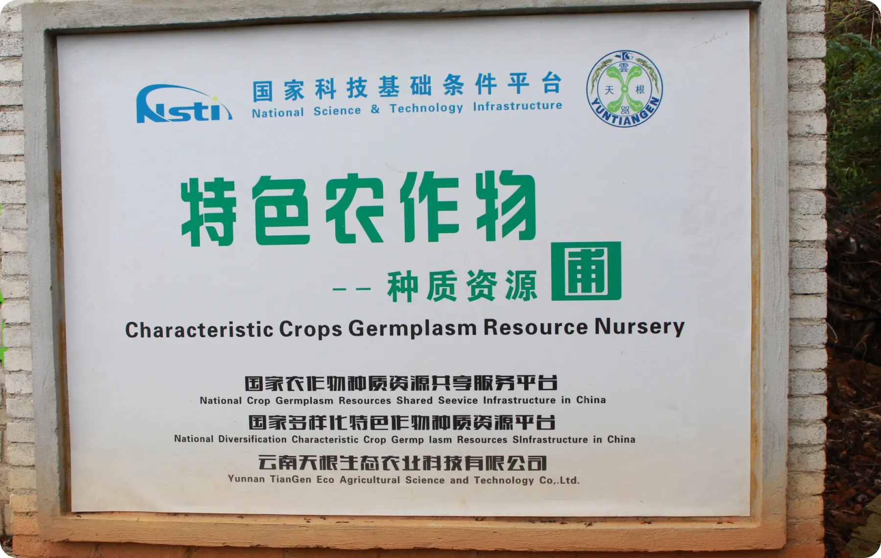 展示图