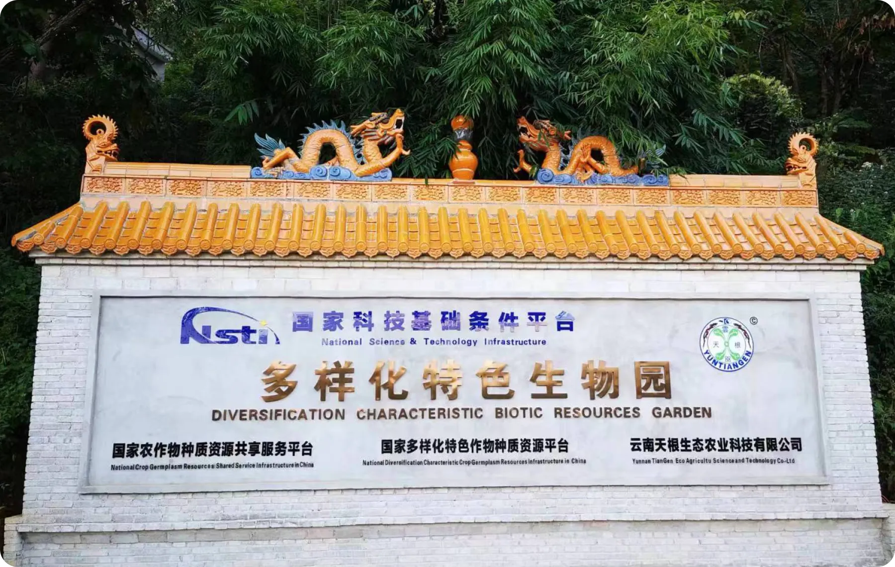 展示图