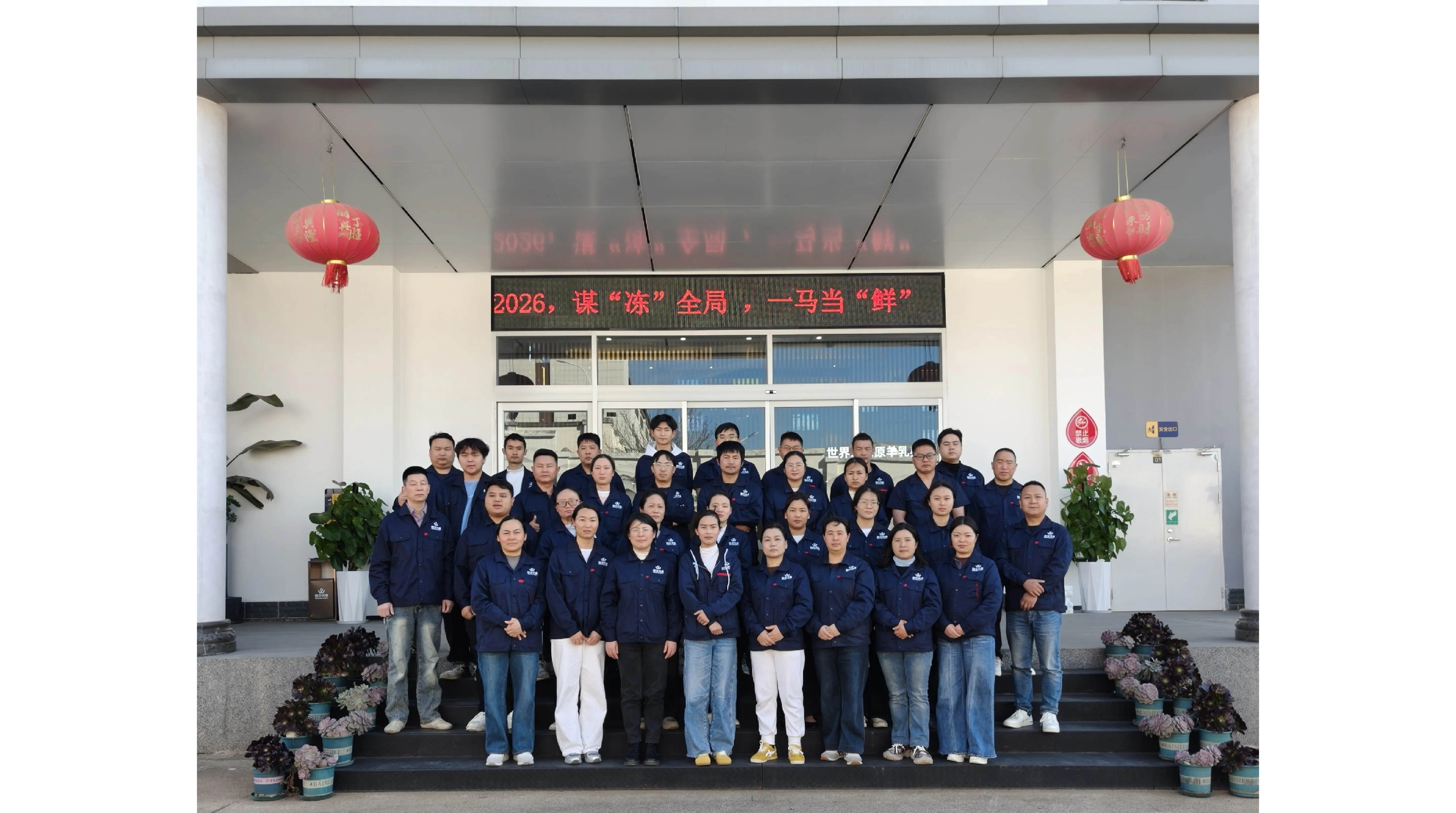 图片展示