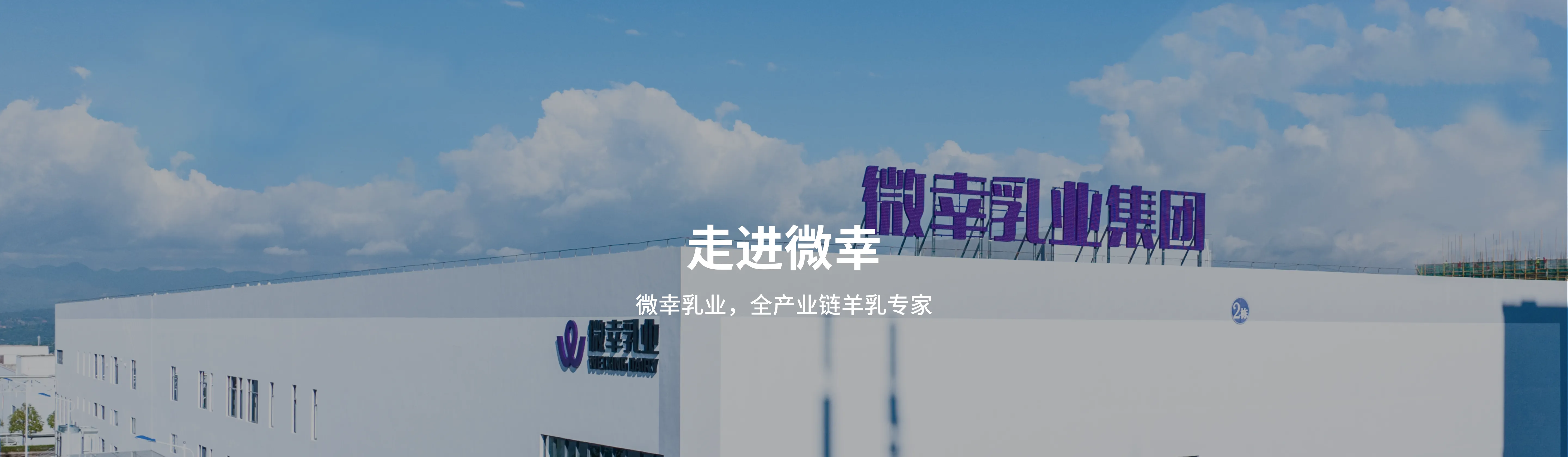 走进微幸