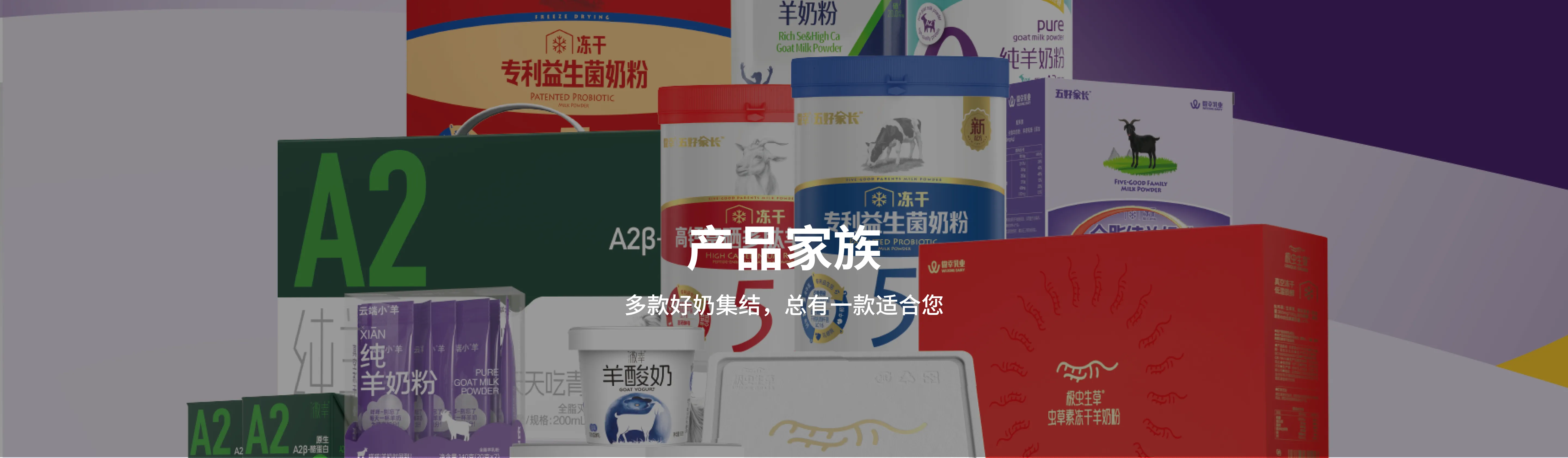 产品家族