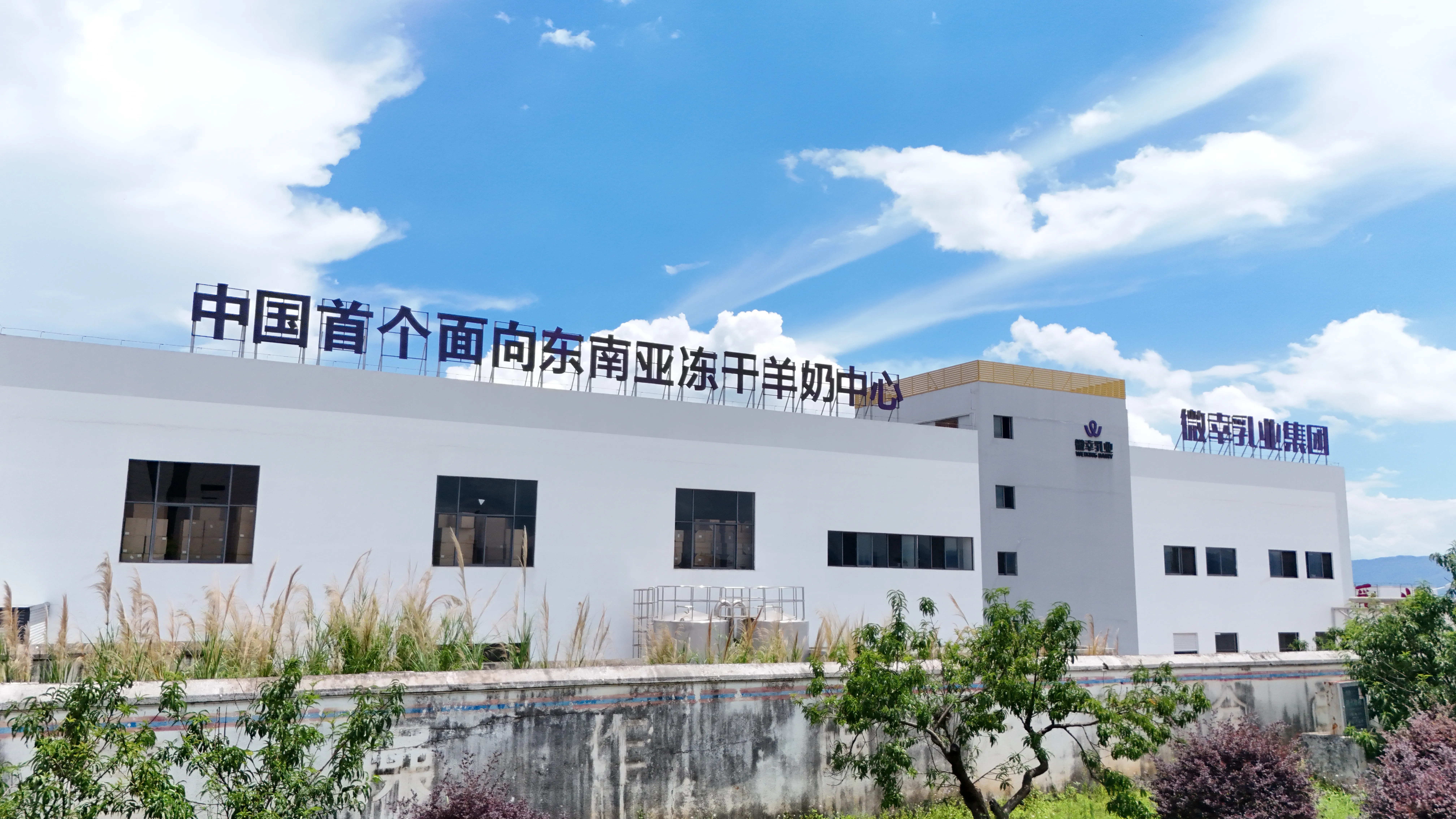 从腾冲科学家论坛到东南亚市场，微幸乳业集团的三年进阶之路