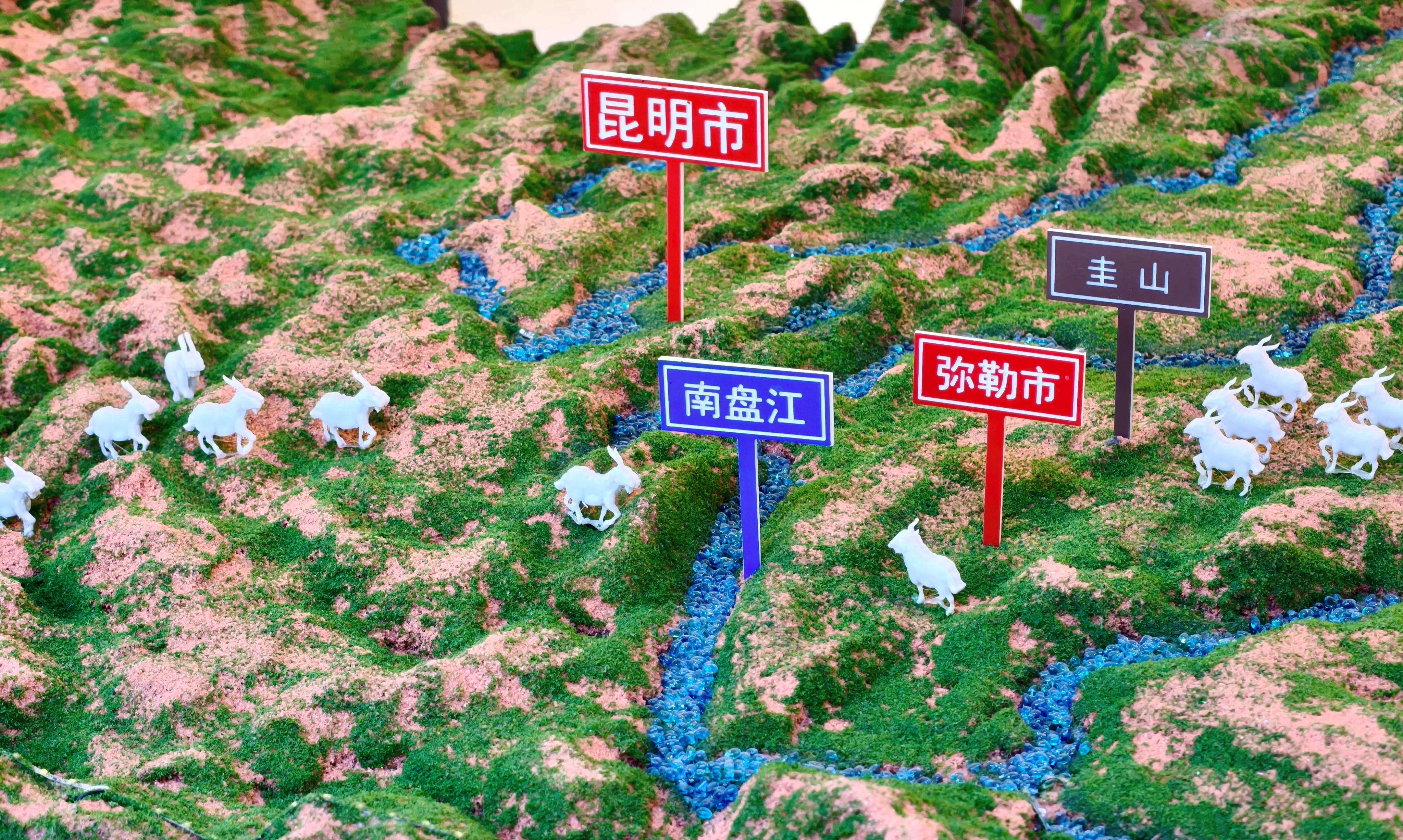 中国羊奶产业大爆发，云南凭什么成为第二大省？