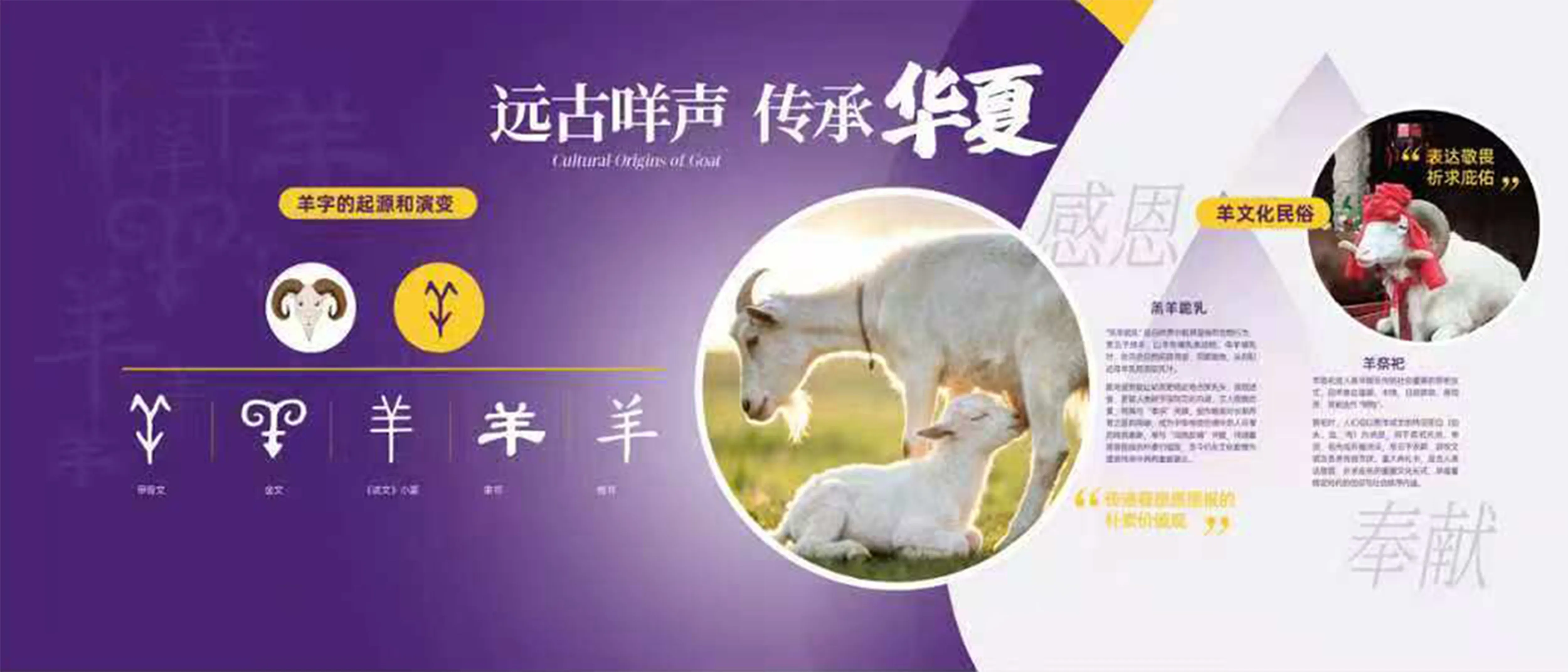 万年传承：中国奶山羊起源与产业分布