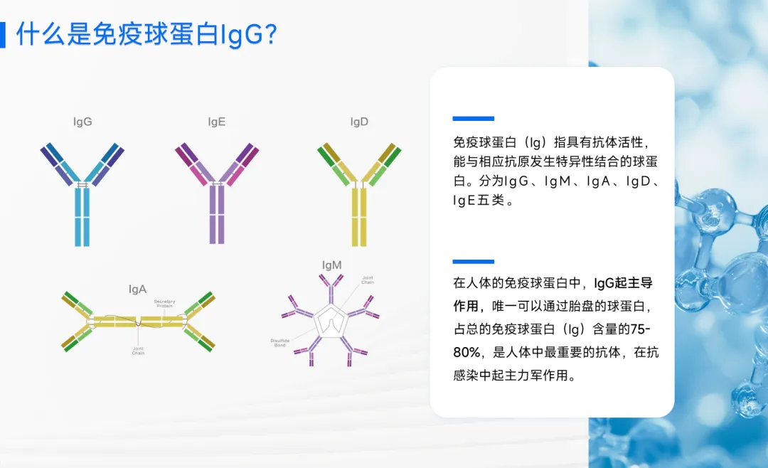 免疫双防护机制：溶菌酶+IgG球蛋白，羊奶具有自身独特营养优势