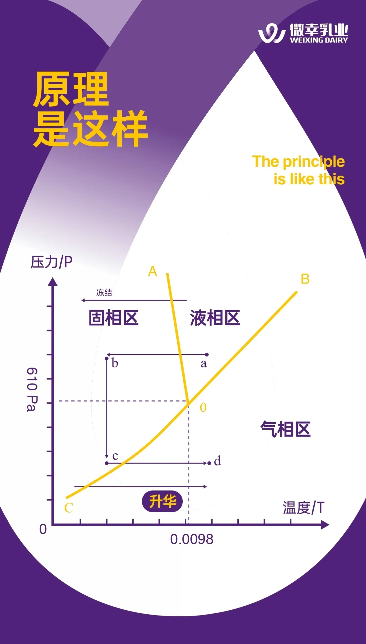 水的三相点相图—固、液、气三相共存的临界点