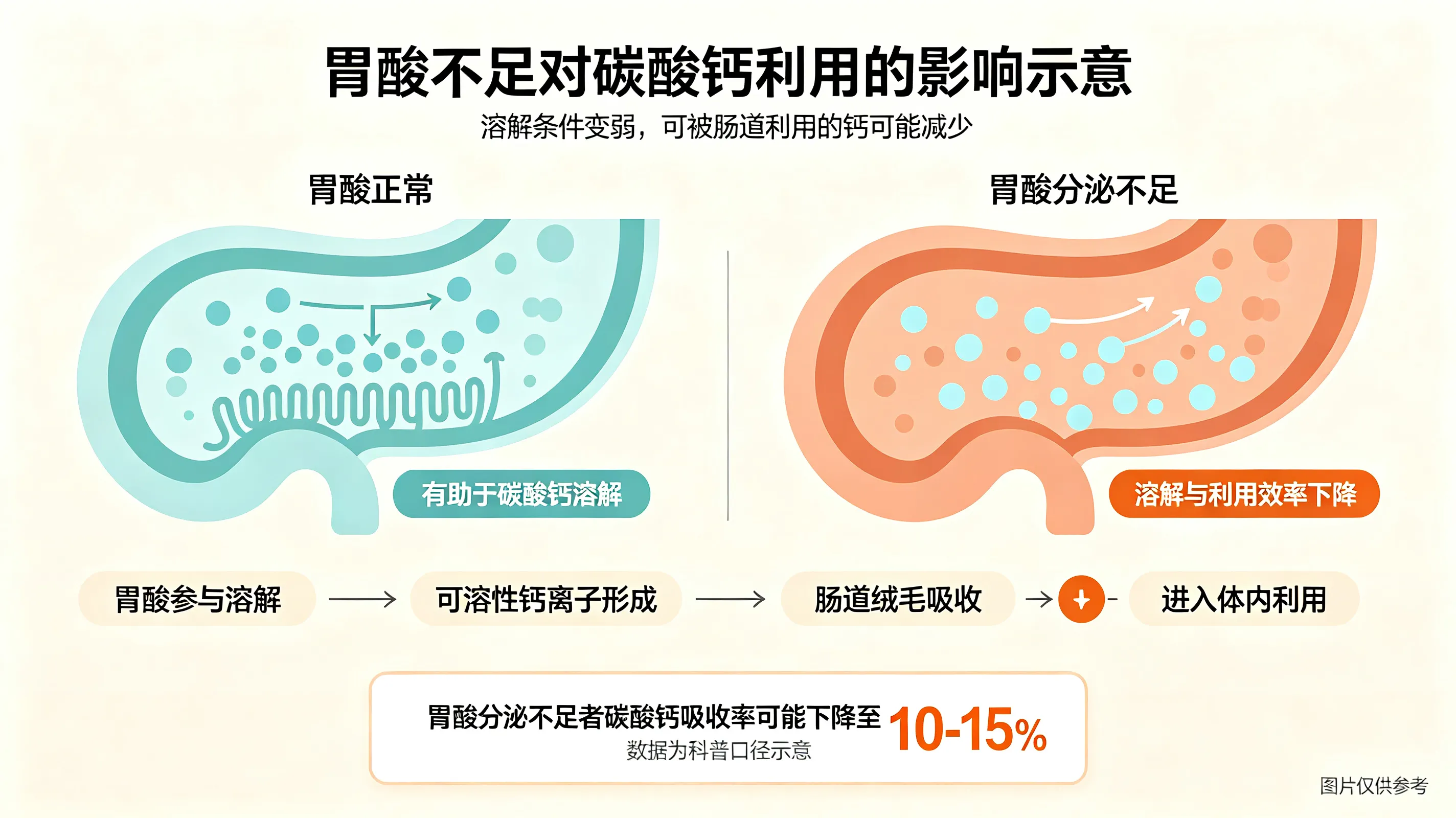 胃酸分泌不足者碳酸钙吸收率
